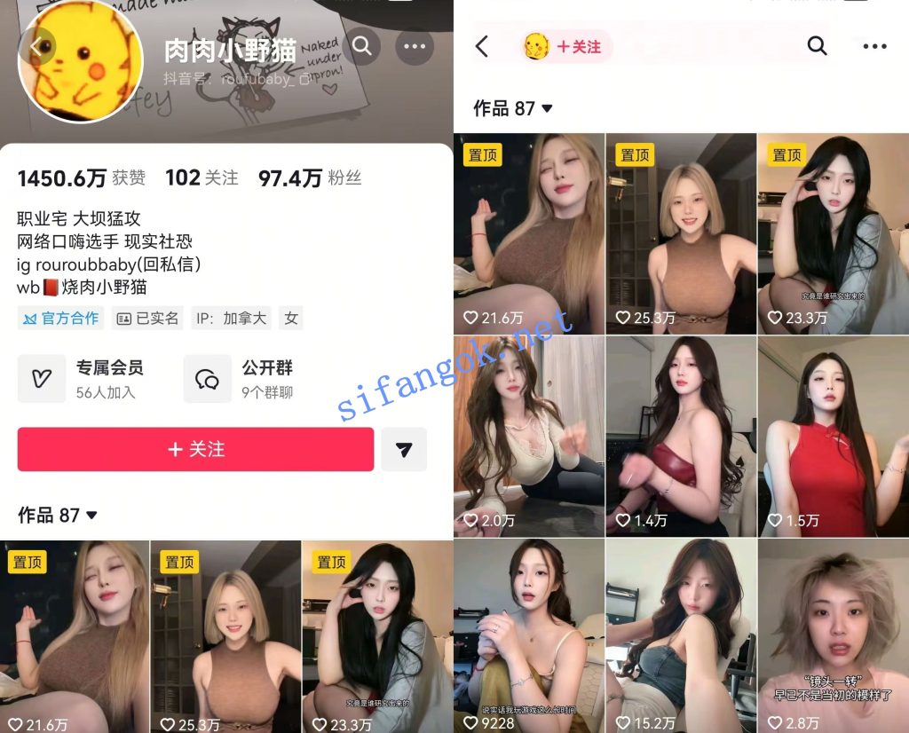 【抖音】肉肉小野猫 百万粉丝大主 大尺度情趣内衣定制18V【18V】【1.27G】